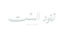 znoud elsett logo